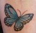 butterfly-tattoos-designs-2
